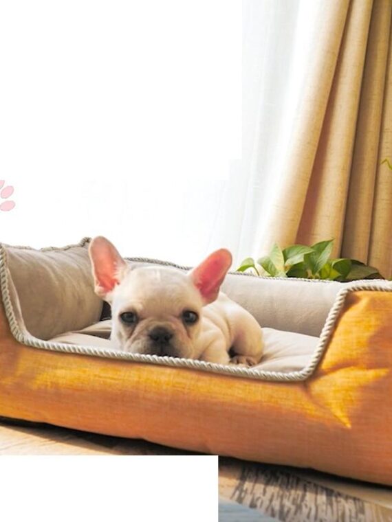Sofa Bed – Give Your Dog A Good Sleep
