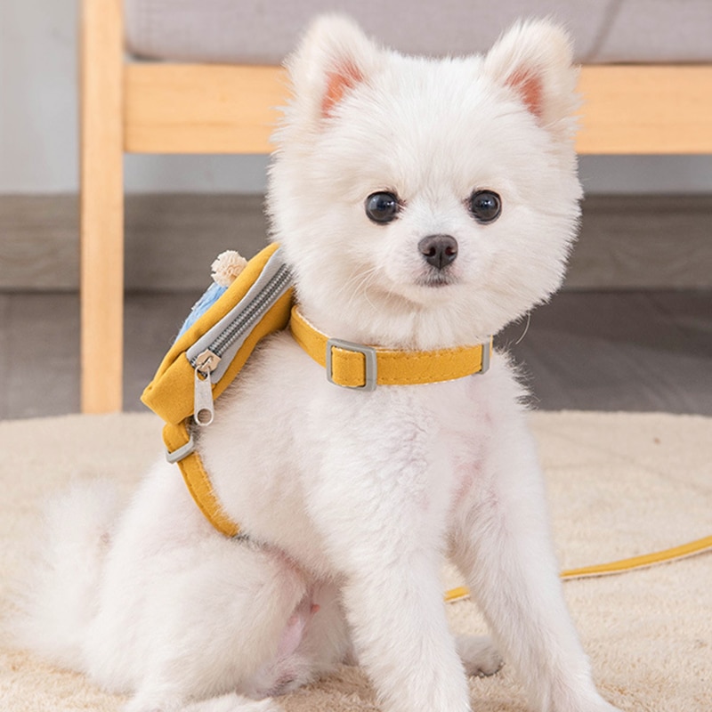 Cute Walking Backpack For Dogs