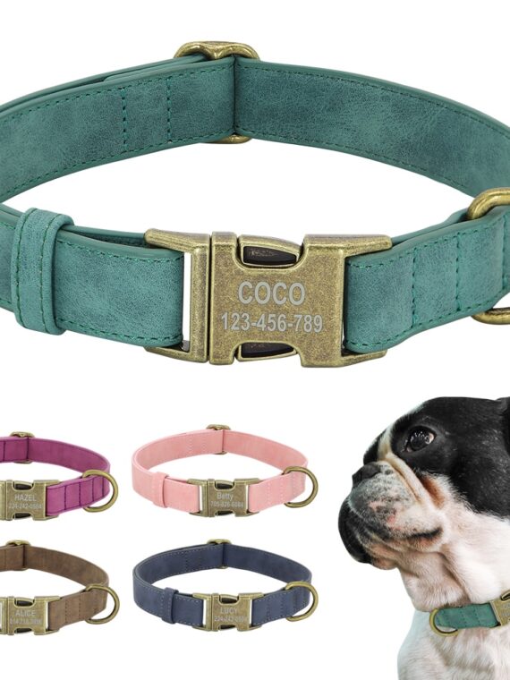 Convenient Pastel Color Collar For Dogs
