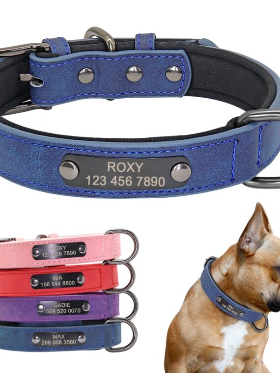 Durable Leather Collar - Dog Accessories