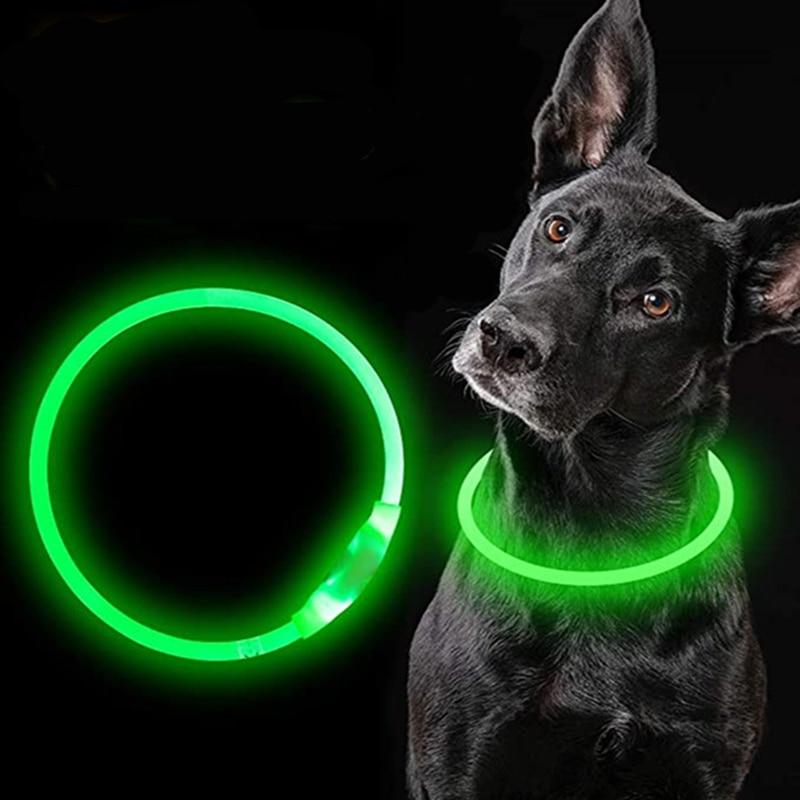 Dog LED-light Collar – Make Your Dog More Outstanding
