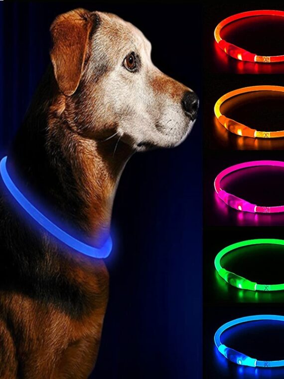 Dog LED-light Collar - Make Your Dog More Outstanding
