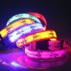 Glow Reflective Collar With The Unique Pattern