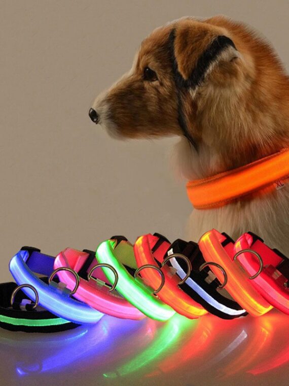 3 Light Modes - Dog Reflective Collar