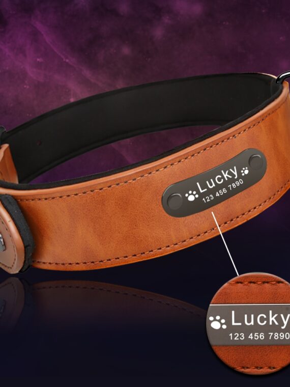 Leather Collar - With A Name Tag For The Dog