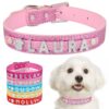 Sparkling Fashion Collar - Accessories For Girly Dog