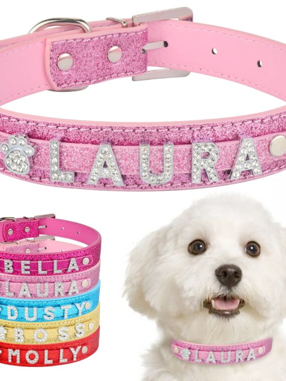 Sparkling Fashion Collar - Accessories For Girly Dog