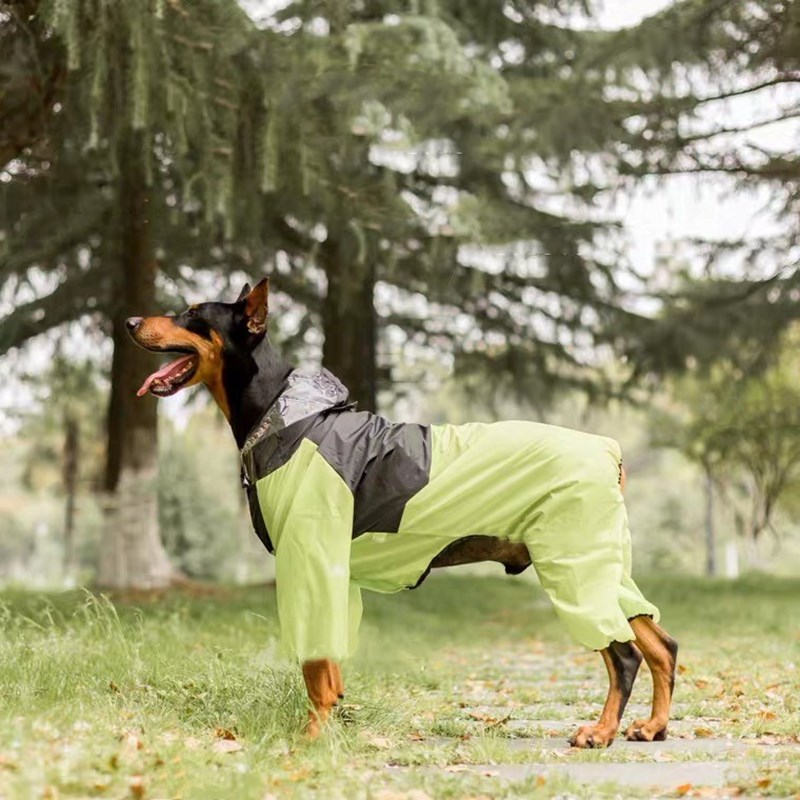 DogMega - Double Raincoat For Dog And Owner