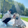 Reflective Windproof Jacket For Dogs And Owners