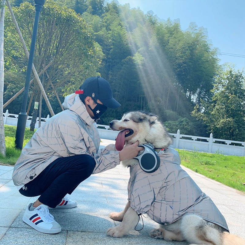Reflective Windproof Jacket For Dogs And Owners