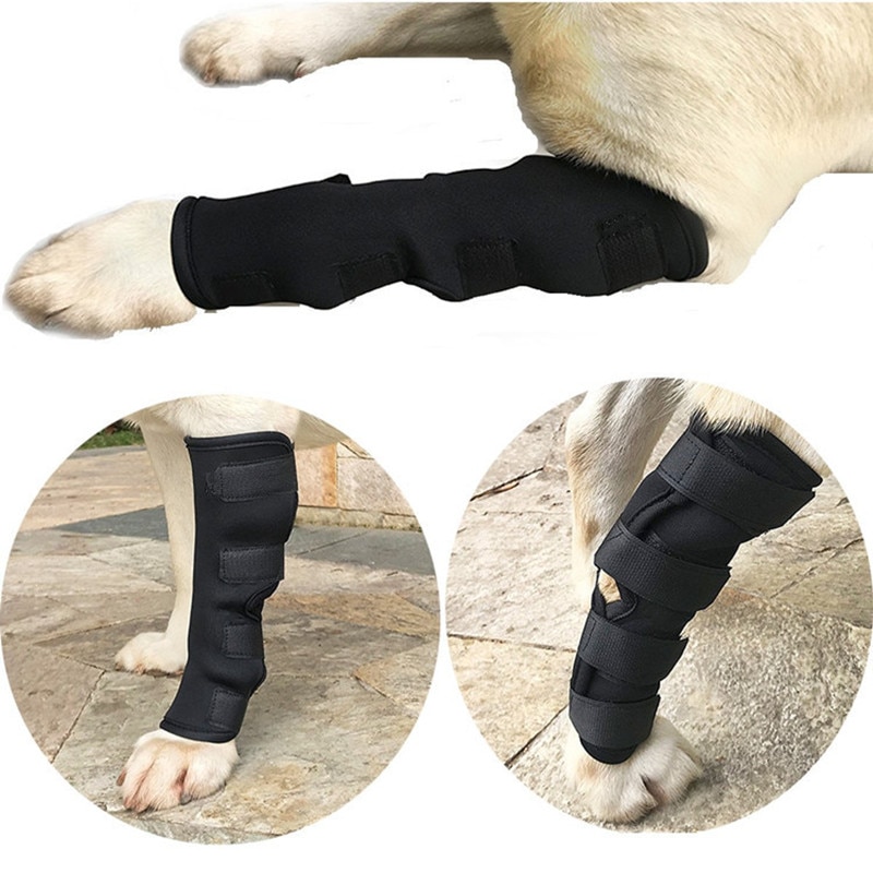 Leg Brace - Joint Protectors For Dogs