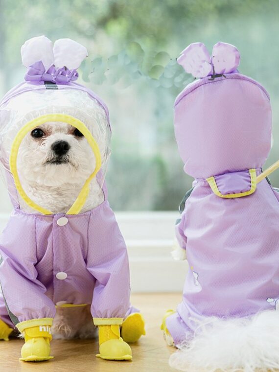 Outstanding Cute Raincoat For Small And Medium Dogs