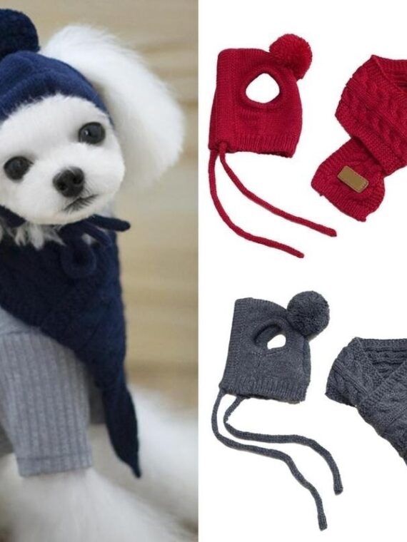 Set Of Warm Woolen Hat And Scarf For Dog In Winter
