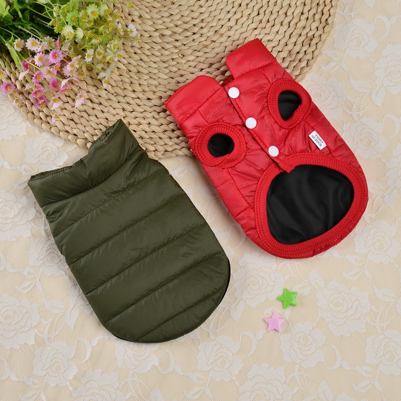 Wind Jacket – Keep The Dog Warm When Going Out