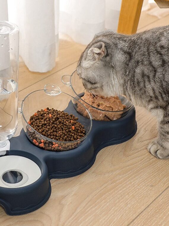Set Of Convenience Food And Drink Bowls
