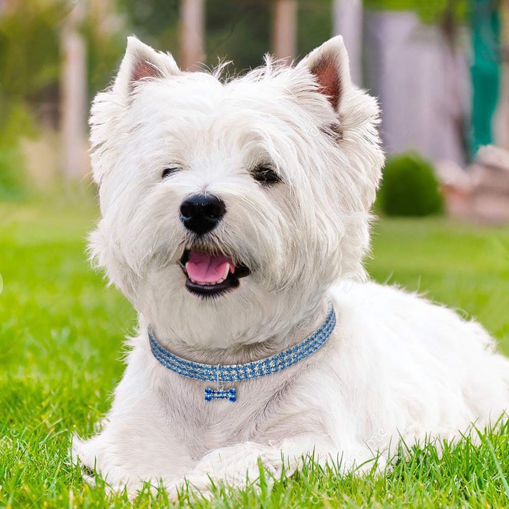 Luxurious Sparkling Stone Collar For Dogs