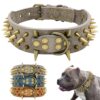 Leather Collar With Studs - Accessories For Dogs