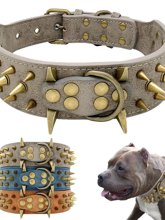 Leather Collar With Studs - Accessories For Dogs