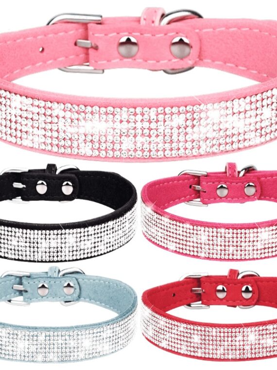 Sparkly Collar - Dog Accessories