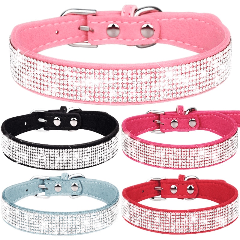 Sparkly Collar – Dog Accessories