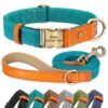 Dog Personality Collar - Bright Colors