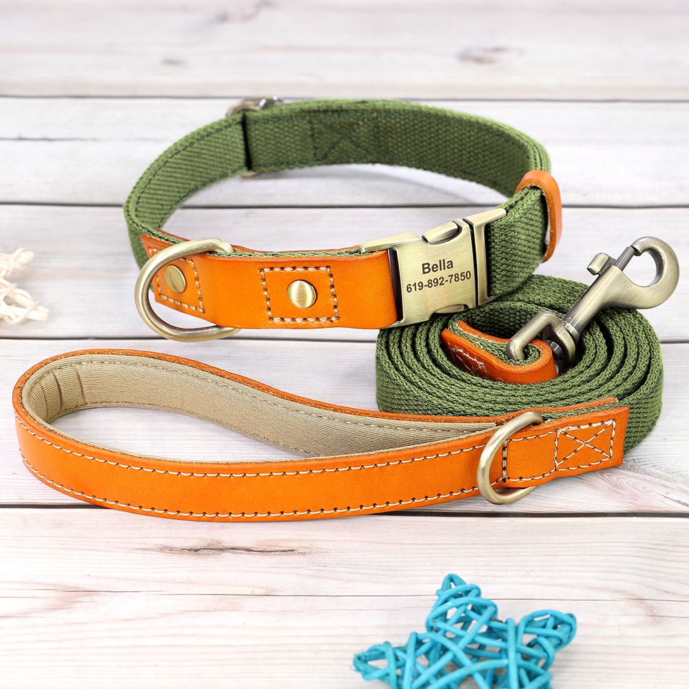 Dog Personality Collar - Bright Colors