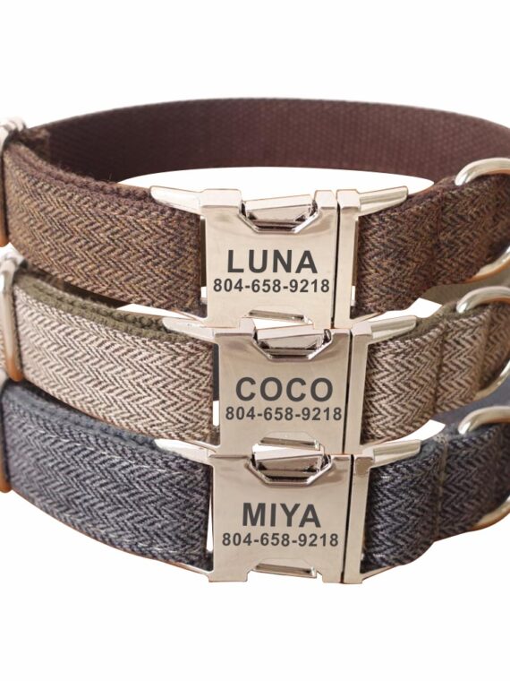 Classic Style Collar For Dog