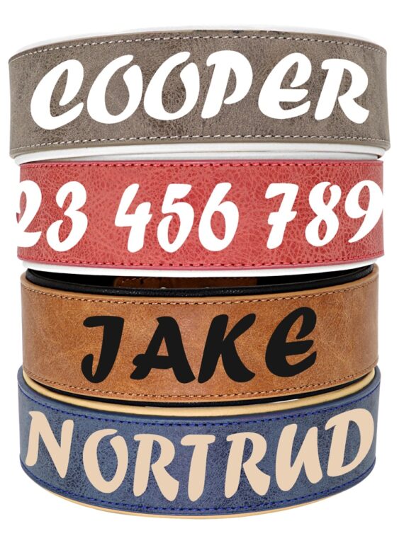 Leather Collar With Name Printed For Dog