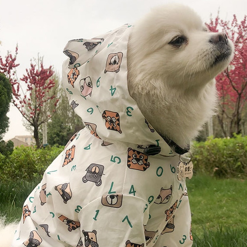 Exciting Cartoon Raincoat – What To Wear For dogs In The Rainy Season?