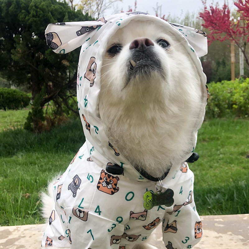 Exciting Cartoon Raincoat - What To Wear For dogs In The Rainy Season?