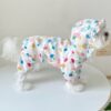 Multicolor Umbrella Pattern -  Waterproof Raincoat