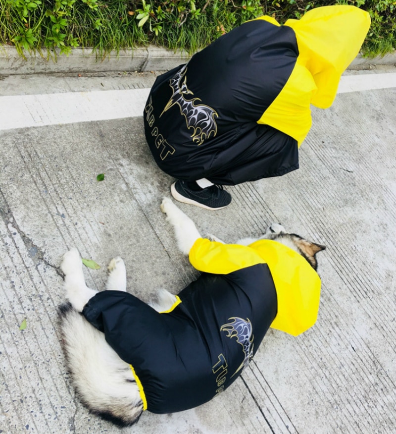 Double Raincoat For Dog and Owner - Fashionable Raincoat