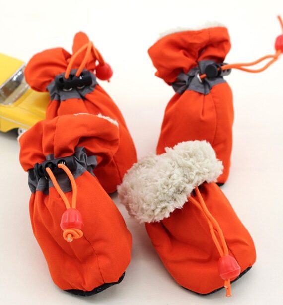 Fashionable Warm Winter Shoes For Dogs