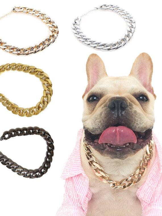 Dog Accessories - Large Leash Style Collar