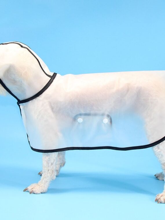 Transparent Raincoat - Cloak Style For Dog