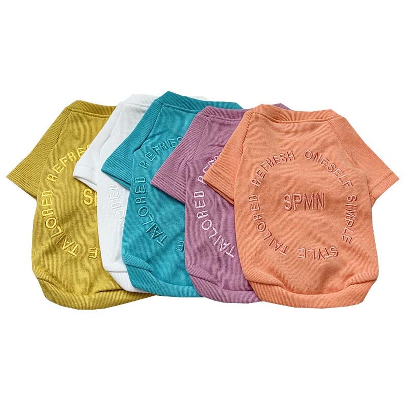 Stylish Sweater For Dog And Owner