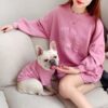 Stylish Sweater For Dog And Owner