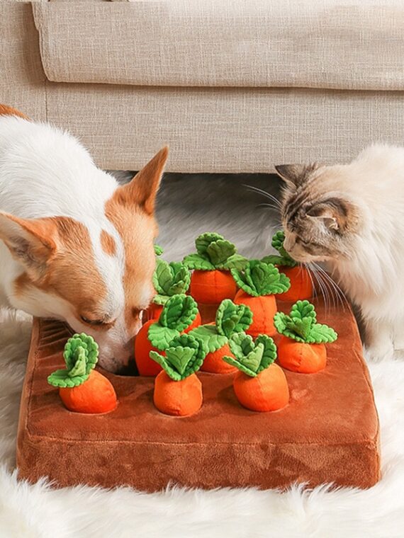 Plush Toys For Entertaining Dogs