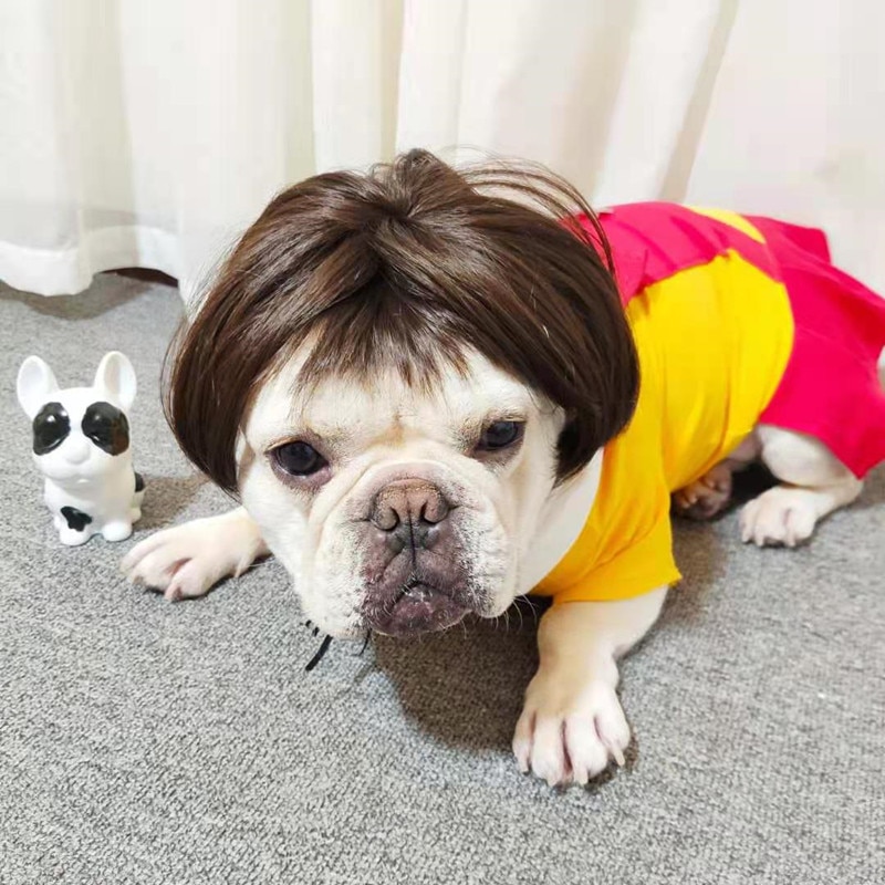 Hot Trend Wig For Dog - Stylish And Fashion