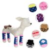 Leg Socks - Winter Accessories For Dogs