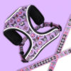 Sweet Color Harness For Dogs - Blue And Purple