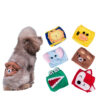 Physiological Pants For Male Dogs