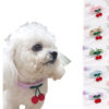 Knitted Collars With Cherries For Dogs