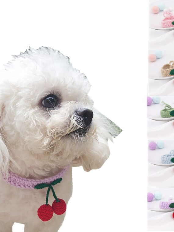 Knitted Collars With Cherries For Dogs