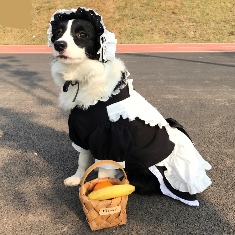 Cute and Funny Maid Outfit For Dogs