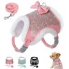 Dog Harness And Leash Set - With A Cute Bow