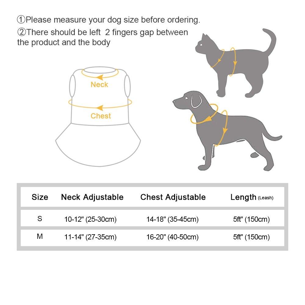 Luxurious Princess Dress - With Harness And Leash Luxurious Princess Dress - With Harness And Leash
