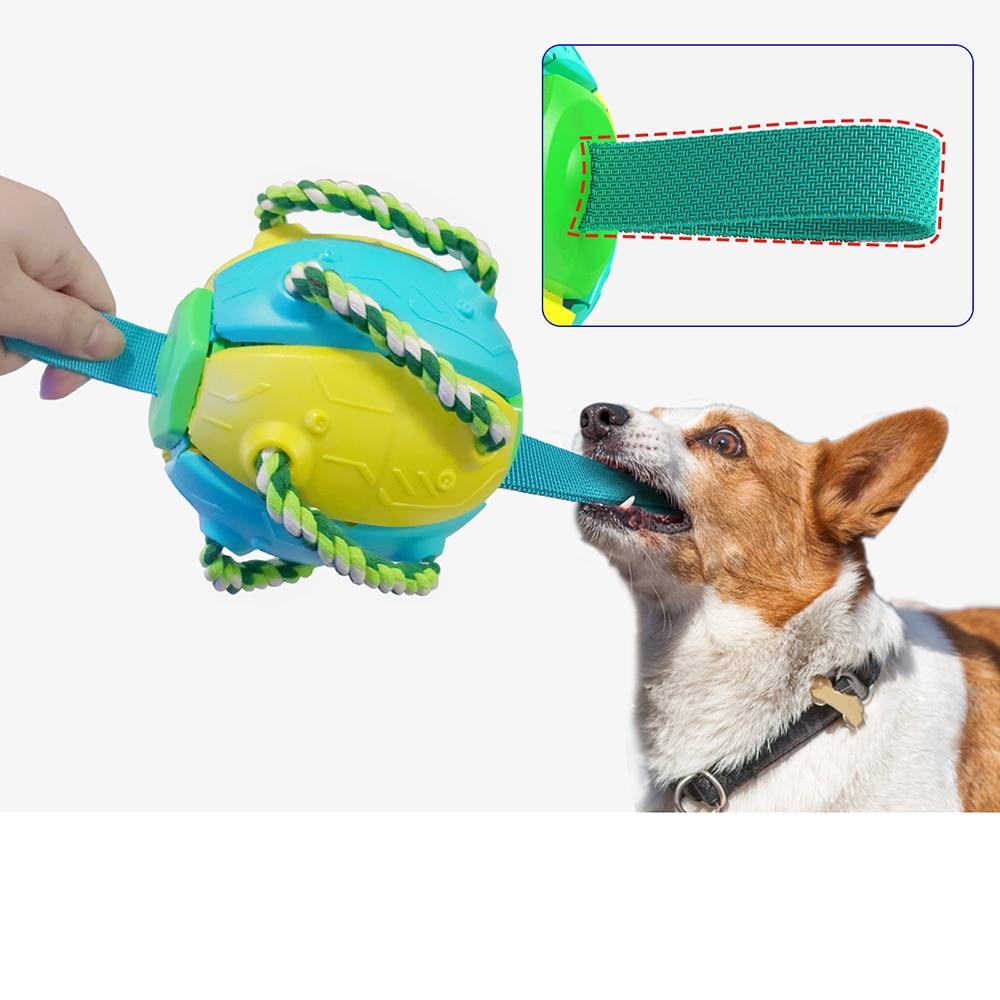 Training Toys For Dogs - Increase Interaction And Mobility