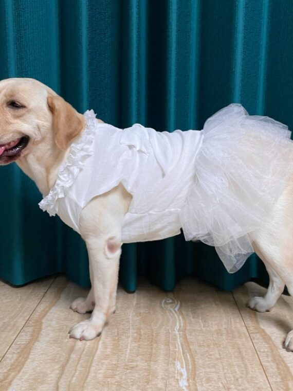 Fluffy Princess Bow Dress For Dogs