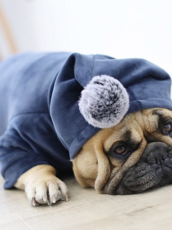 Warm Hoodie - Personality And Style For Dogs